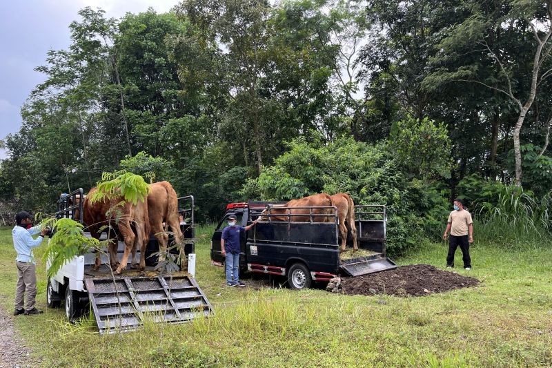 RI includes livestock evacuation in disaster management measures - Vimarsana News