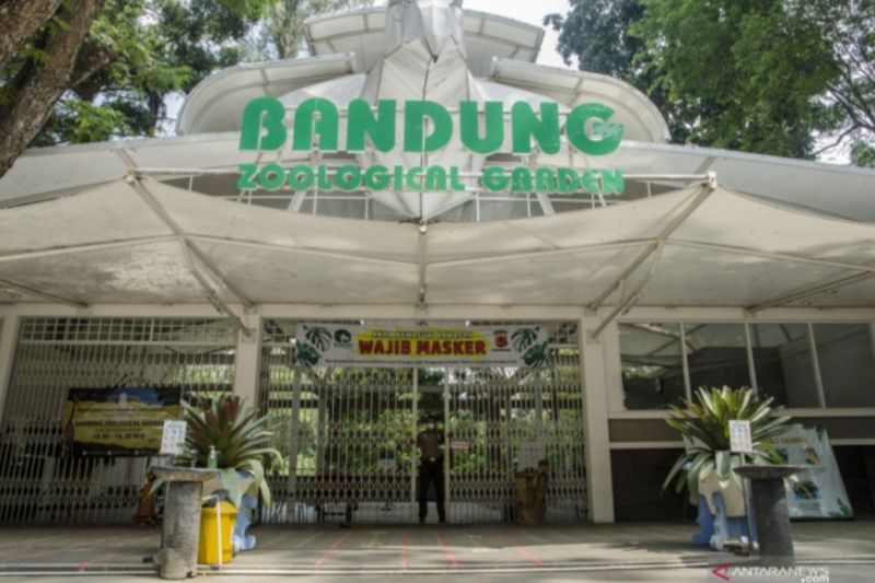 Kebun Binatang Bandung sambut pengunjung  Lebaran