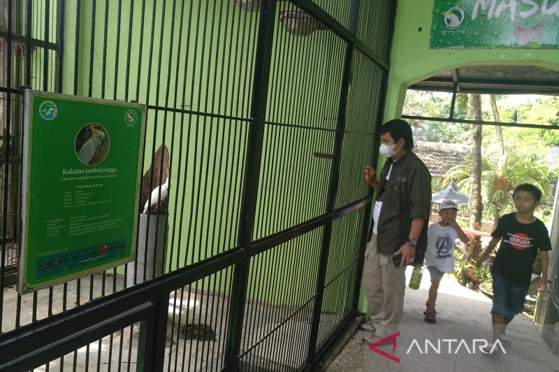 Wisatawan Taman Satwa Cikembulan Garut meningkat