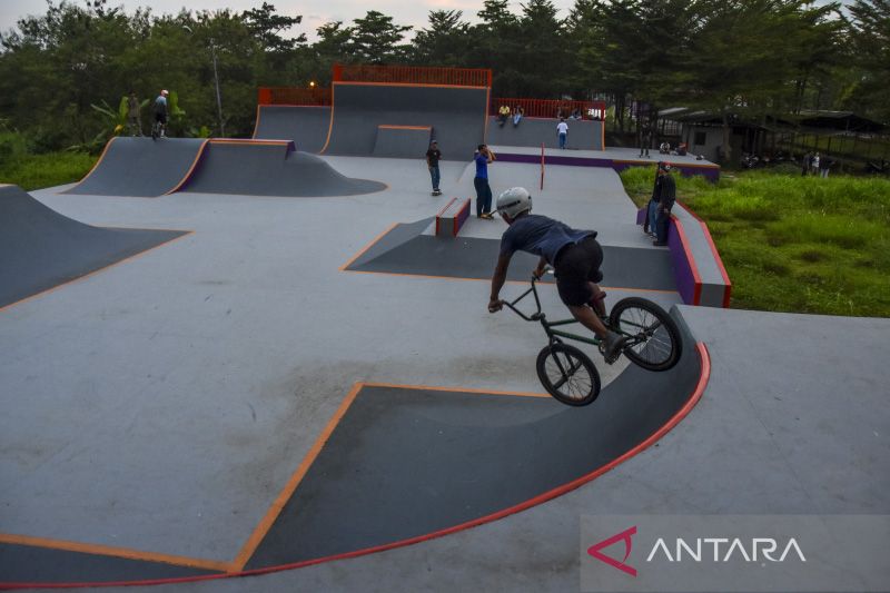 Skatepark standar Internasional
