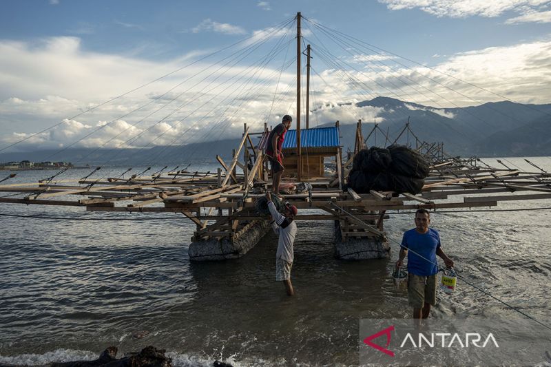 Kendala Bahan Baku Pembuatan Perahu Bagang