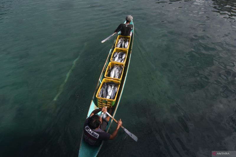 Aktivitas Bongkar Muat Ikan di PPI Donggala