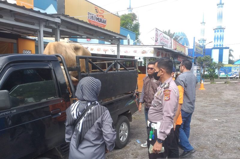 Polisi dan Disnak Sukabumi tahan sapi yang masuk dari luar daerah