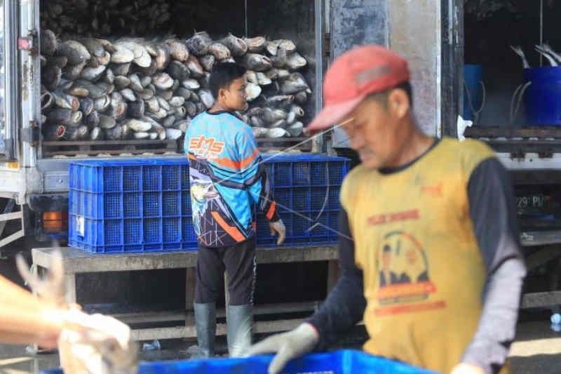Gudang ikan beku kapasitas 170 ton di Indramayu sudah beroperasi