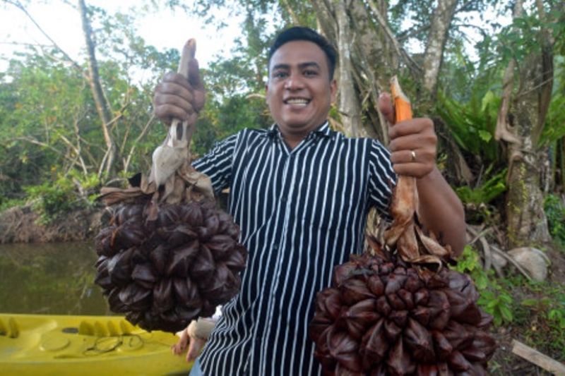 Wisata Alam Green Talao Park Di Padangpariaman