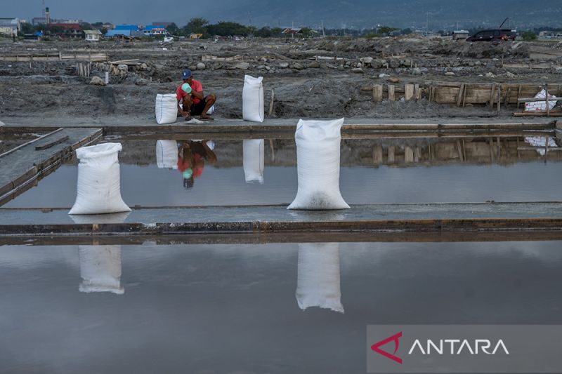 Penurunan Produksi Garam Akibat Anomali Cuaca