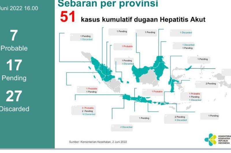 Kemenkes Sebut Dugaan Hepatitis Akut Di Indonesia Berjumlah 24 Pasien ...