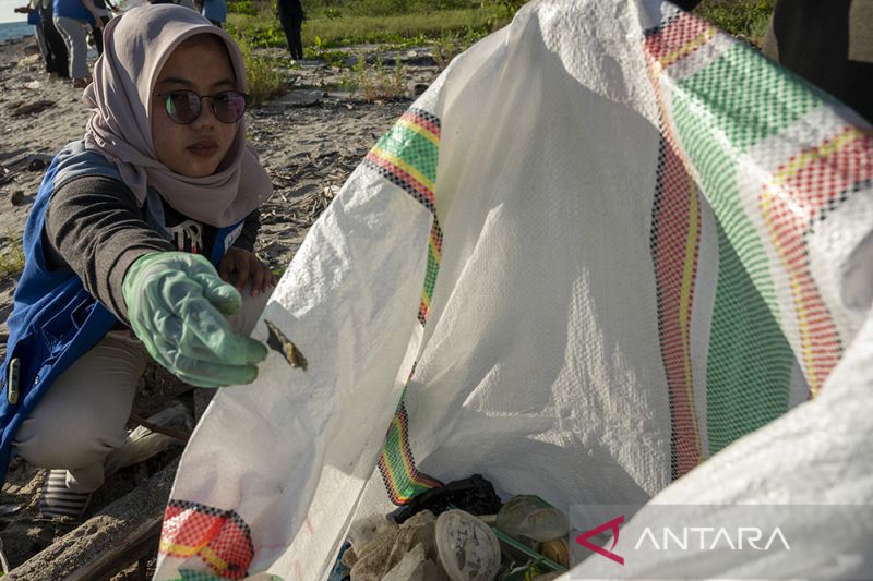 Identifikasi Merek dan Produsen Sampah Plastik Kemasan di Teluk Palu