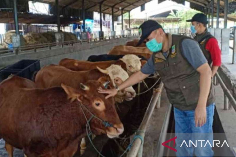 Kabupaten Bekasi antisipasi penularan PMK pada hewan kurban