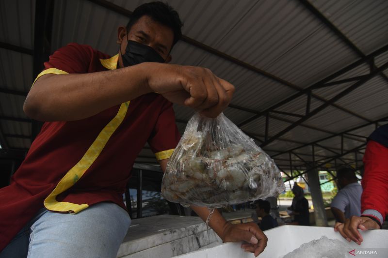 Bazar Ikan Segar