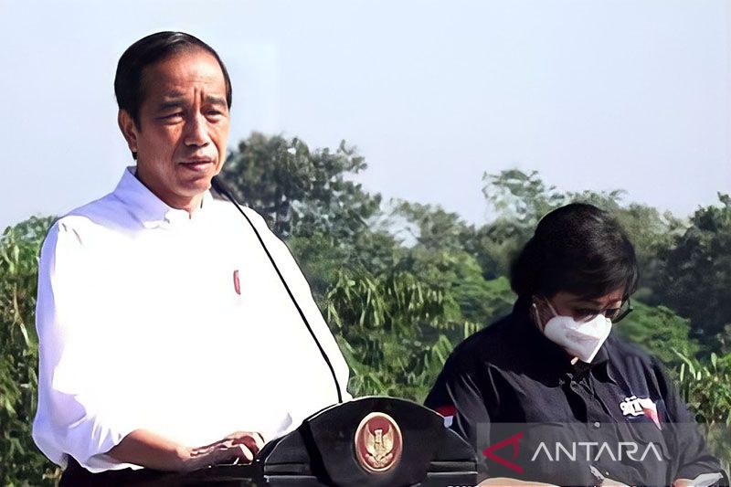 Jokowi menargetkan 360 juta bibit dari pembibitan Indonesia