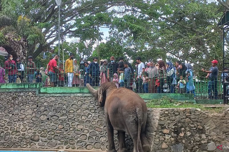 Bukittinggi maksimalkan objek wisata sambut libur panjang sekolah