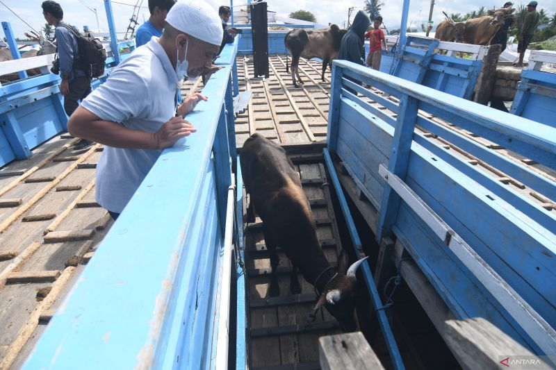 Pengawasan Lalu Lintas Ternak