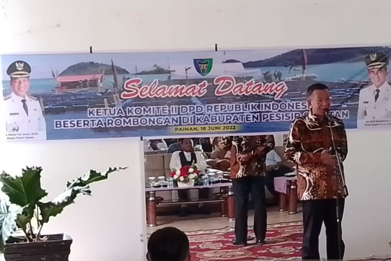 Bupati Pesisir Selatan berharap DPD-RI kaji ulang pengalihan kewenangan kabupaten ke provinsi