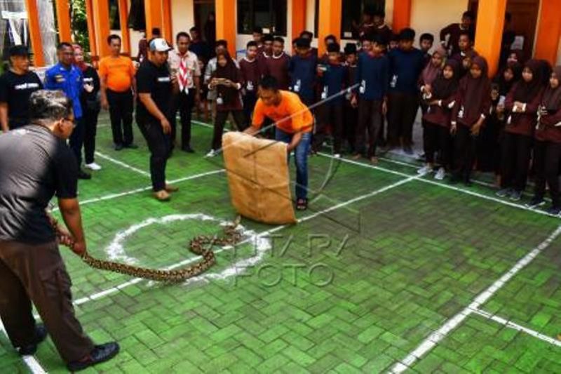 Edukasi Cara Penanganan Ular Kepada Anggota Pramuka