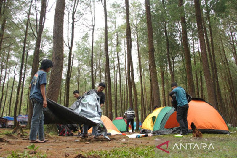 Wisata hutan pinus Lembanna Gowa