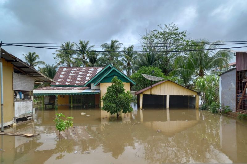 Banjir menggenangi permukiman warga di wilayah Sungai Serut, Bengkulu