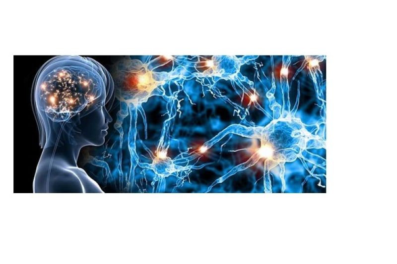 SMOORE launches pioneering research project into nicotine addiction - Vimarsana News