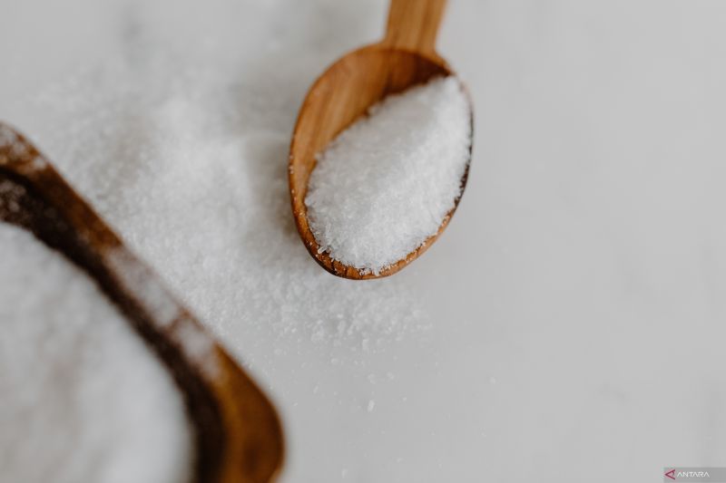 Konsumsi garam bisa diganti dengan glutamat untuk cegah hipertensi