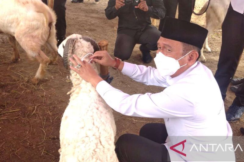 Warga Bekasi diimbau periksa dokumen kesehatan hewan kurban sebelum dibeli