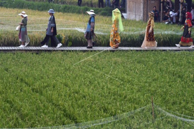 Wow...!!!, Ada peragaan busana di tengah sawah