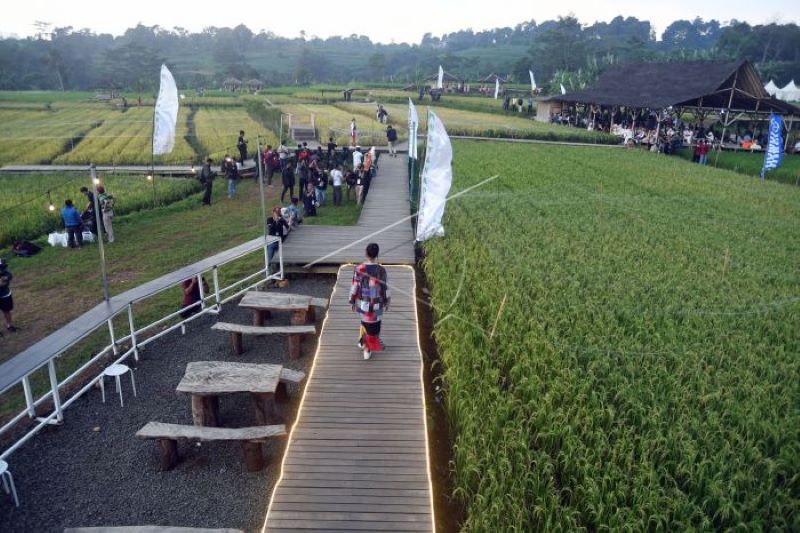 Wow...!!!, Ada peragaan busana di tengah sawah