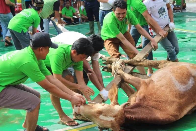 Lapas Kelas II A Pekanbaru sembelih 16 hewan kurban - ANTARA News Riau