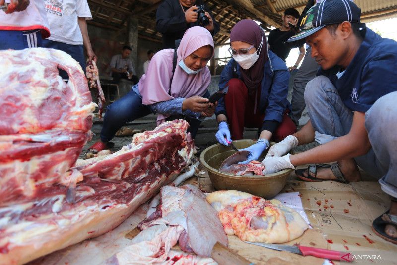 DKPP Jabar bagikan cara pengolahan daging kurban yang tepat