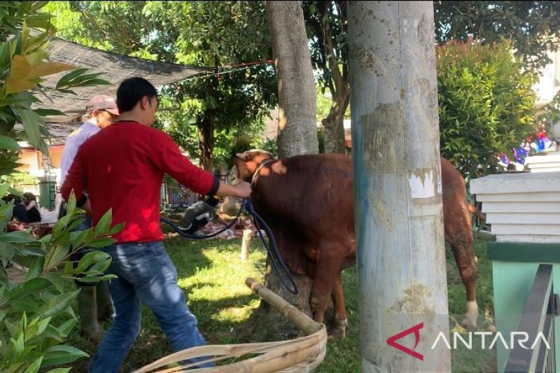 Petugas dikerahkan pantau pemotongan hewan kurban di Cianjur
