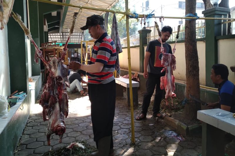 369 kg jeroan hewan kurban tak layak konsumsi dimusnahkan Pemkot Bandung