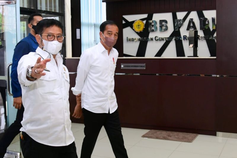 Presiden Joko Widodo yakin Indonesia segera capai swasembada beras