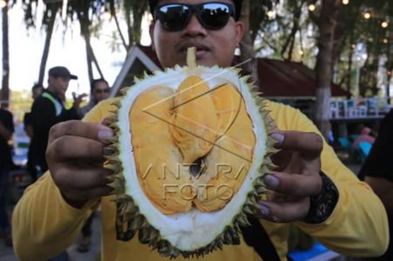 Festival Dan Lomba Durian Di Aceh Jaya