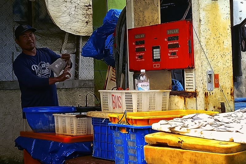 Aktivitas penjual ikan di Pasar Gudang Lelang