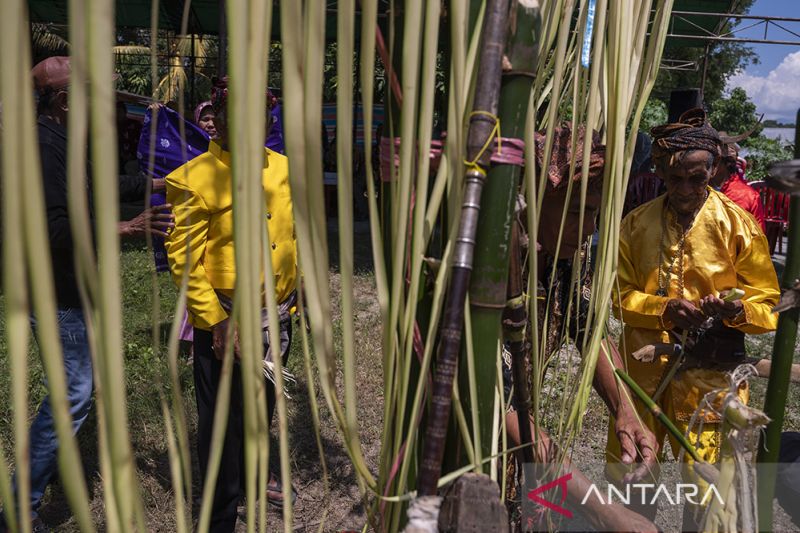 Ritual Adat Povunja Usai Panen di Sigi