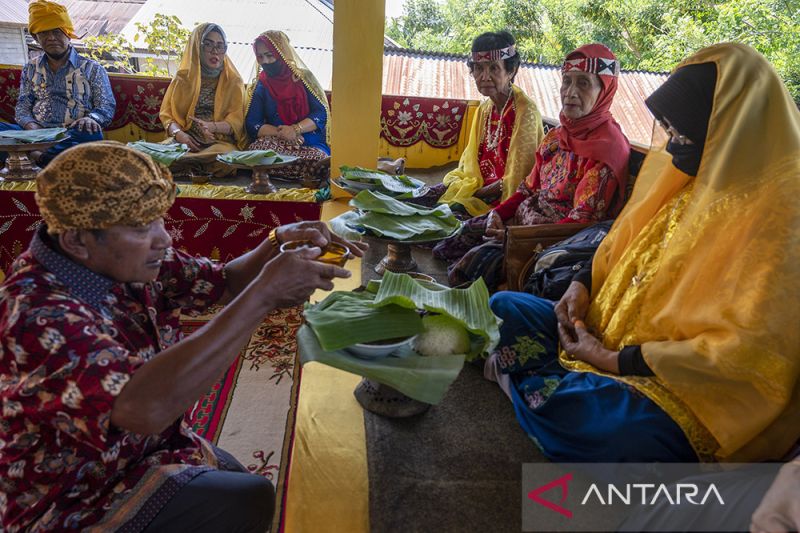 Ritual Adat Povunja Usai Panen di Sigi