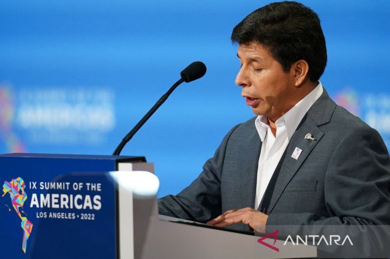 Kongres Peru dukung mosi pemakzulan Presiden Castillo