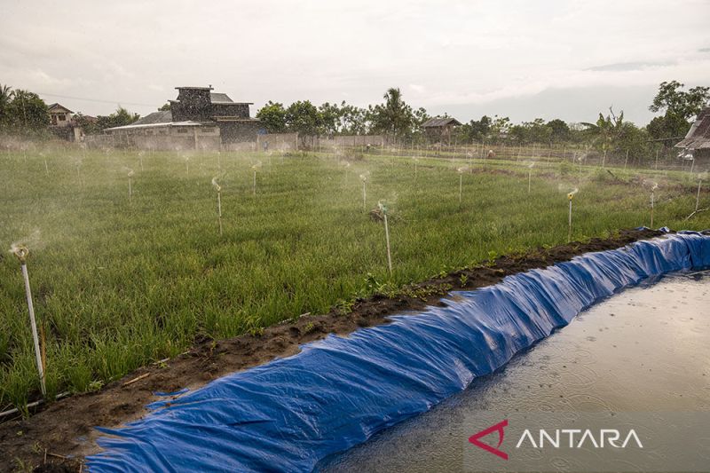 Penyediaan Lahan Desa Untuk Ketahanan Pangan