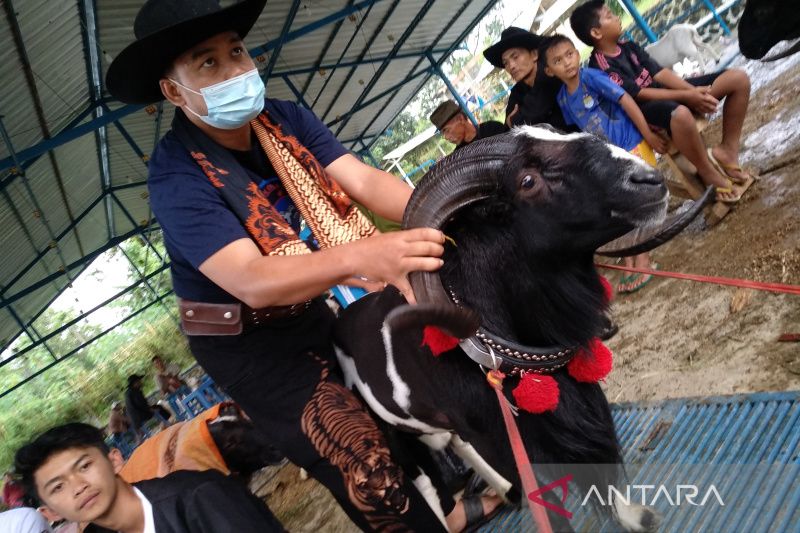 Garut usul 5.000 dosis vaksin PMK untuk domba