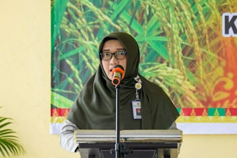 Dinas PTPH Riau giatkan pengembangan padi gogo spesifik