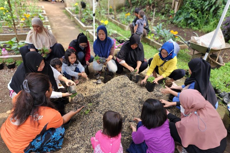 Dosen SBM ITB kenalkan budidaya chamomile sebagai peluang usaha untuk ibu-ibu