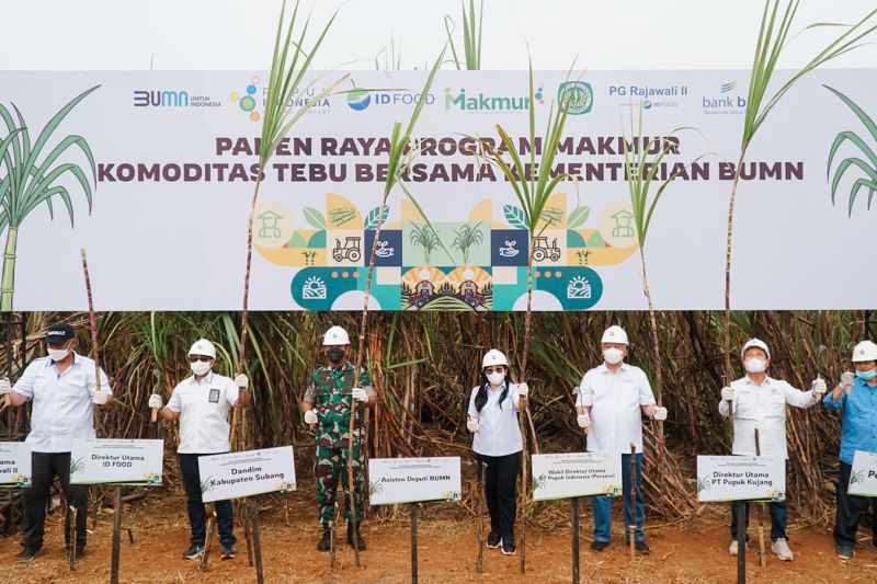 Program Makmur berhasil tingkatkan produksi tebu di Subang