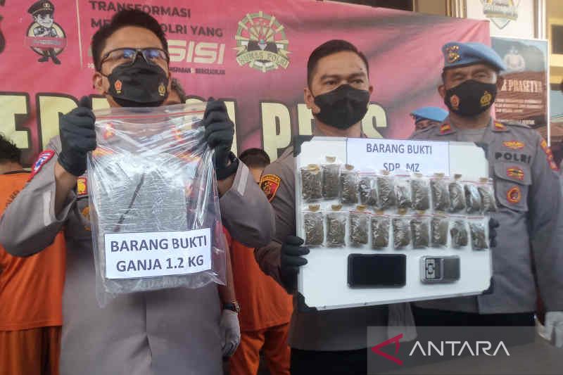 Polres Cirebon tangkap karyawan koperasi edarkan ganja 1 kg