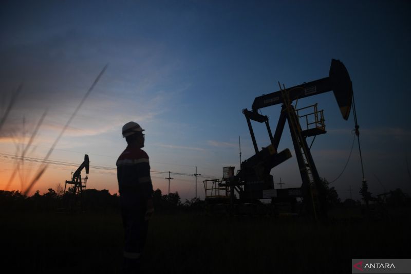 Harga minyak turun di Asia, melonjaknya stok AS picu kekhawatiran permintaan