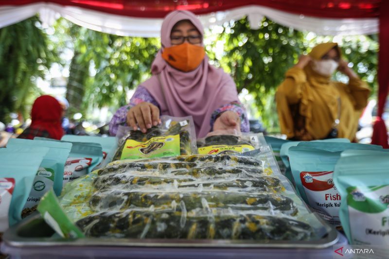 kkp-dorong-kdkmp-pasok-produk-lele-siap-masak-untuk-dapur-mbg
