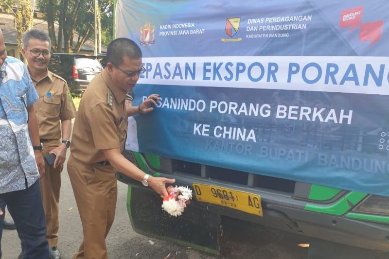 Kadin Jabar fasilitasi ekspor 57 ton porang dari petani Bandung ke China