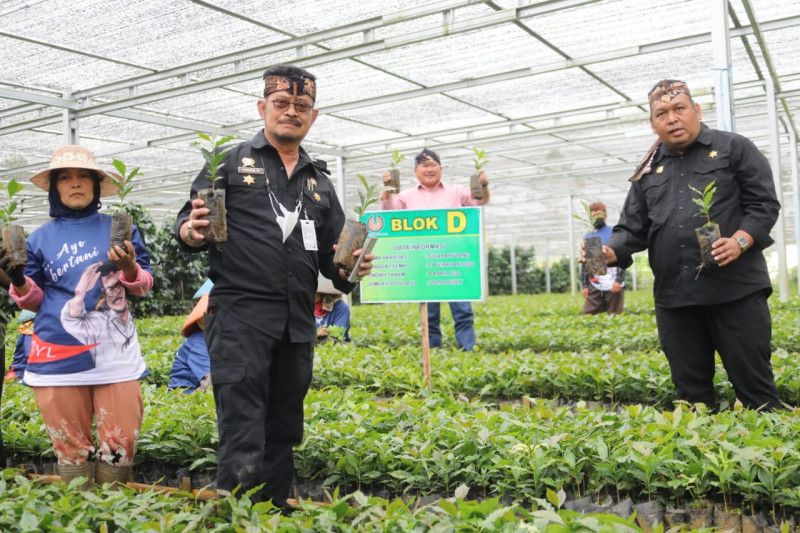 Produksi kopi Jawa Barat berkembang pesat tahun 2022, kata Mentan