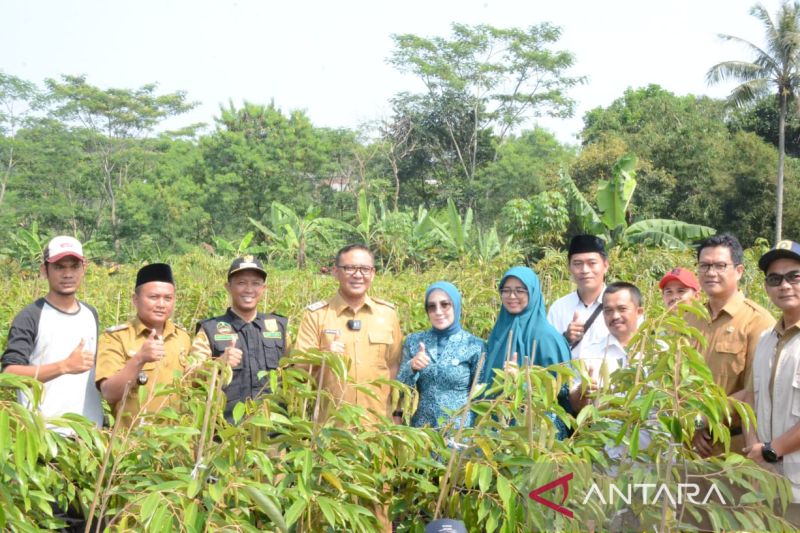 Cijeruk diwacanakan sebagai sentra bibit durian di Kabupaten Bogor
