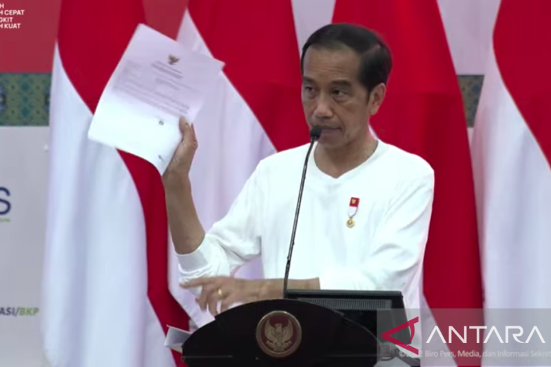 Jokowi minta UMKM di Papua manfaatkan NIB untuk tambah modal