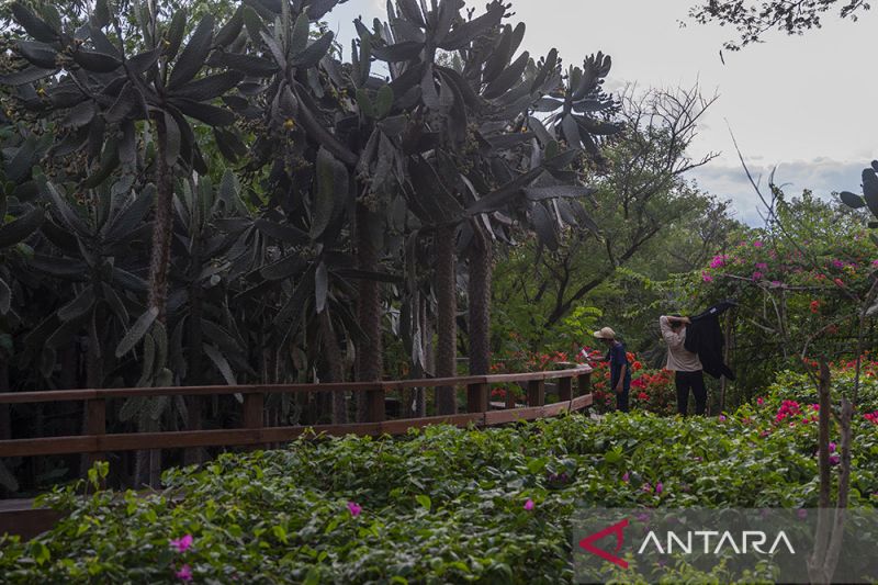 Wisata Taman Hutan Kota di Palu