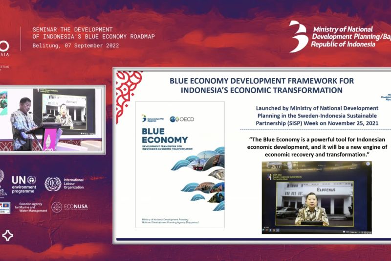Indonesia pimpin pembangunan ekonomi biru international: kementerian